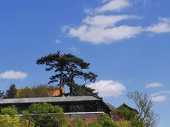-妙峰山风景名胜区