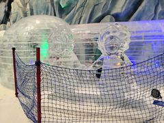 -长沙湘江冰雪世界