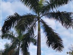 -广州市白云山风景名胜区