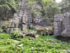 -梭布垭石林景区