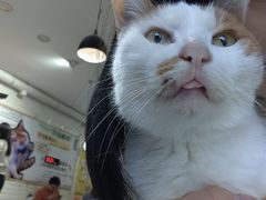 -平行世界·猫咖(首经贸店)