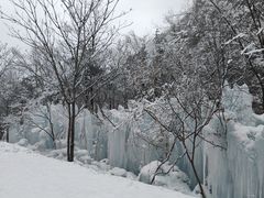 -青峰峡国家森林公园