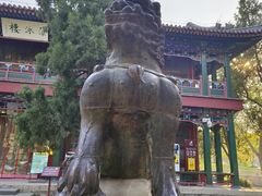 -莲池书院博物馆