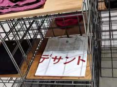 -迪桑特DESCENTE(北京三里屯BLANC店)