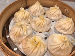 -莱莱小笼·乔艾