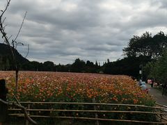 -贵阳市花溪国家城市湿地公园