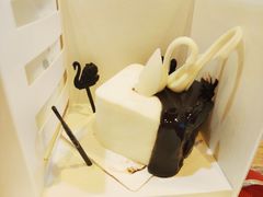 -BLACKSWAN黑天鹅(环球店)