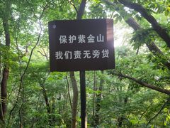 -紫金山山顶公园