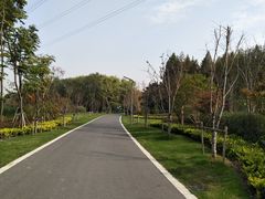 -昆山城市生态森林公园