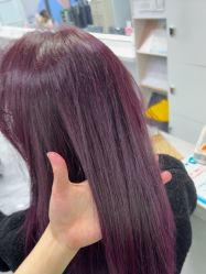 -镁连社·美联社