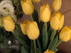 -循礼门鲜花花市(武汉循礼门店)