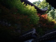 -韬光茶庵
