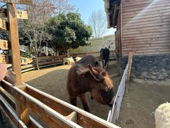 -HERRE·FARM 赫尔露营农场·团建聚会包场