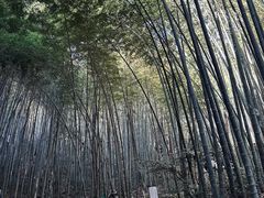 -敬亭山风景名胜区