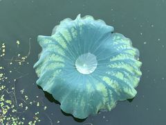 -尚贤河湿地