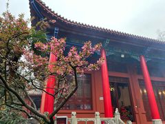 -黔灵山公园