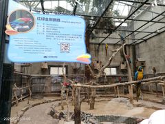 -大连森林动物园