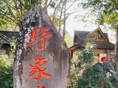 -野象谷景区