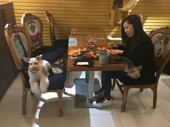 -more than meow吴止猫主题餐厅(承德 中船汇店)