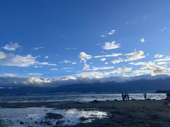 -洱海月湿地公园