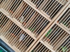 -北京国子监胡同
