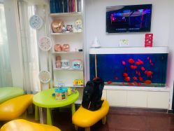 -圣瑞医疗上海圣恩儿科门诊部