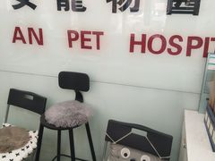 -特一安24小时宠物医院·骨科·中兽医