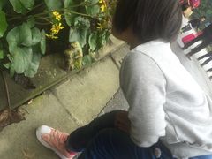 -吴淞炮台湾湿地森林公园烧烤区