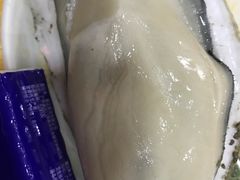-蚝专家(北滘店)