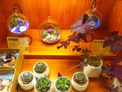iphone_upload_pic-西西弗书店＆矢量咖啡(花园城店)