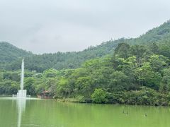 -广州白江湖森林公园