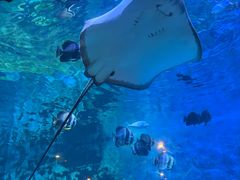 -横店影视城梦幻谷园区