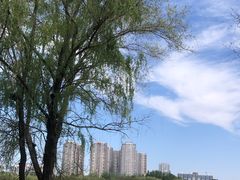-长白岛森林公园