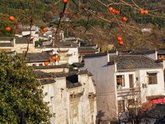 -塔川景区