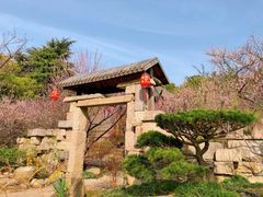 -无锡梅园公园