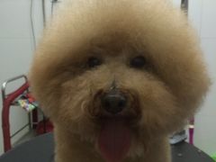 -佳雯宠物医院(四明中路分院)