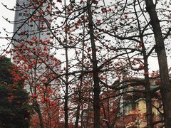 -烈士陵园(地铁站)