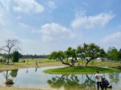 -夏河溪乡野公园