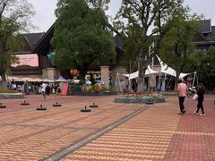 -苏州乐园森林水世界