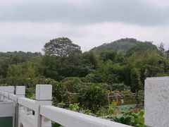 -法云古村