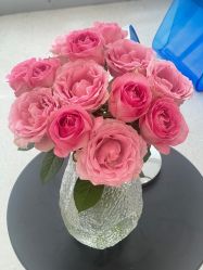 -JNK皮肤管理中心