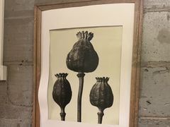 -Wood Garden(合生汇店)