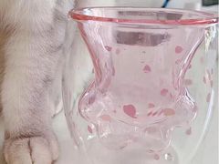 -星巴克(南翔五彩城店)