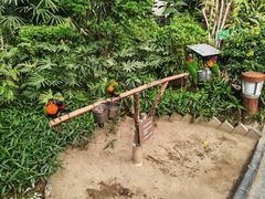 -南宫五洲植物乐园