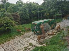 -深圳野生动物园