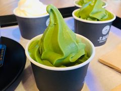 -雪绿茶博物馆