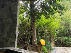 -张家港金凤凰度假村温泉