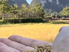 -靖西鹅泉风景区