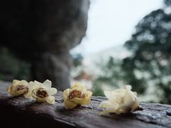 -东南悬空寺方广岩