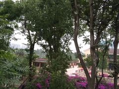 -府河摄影公园